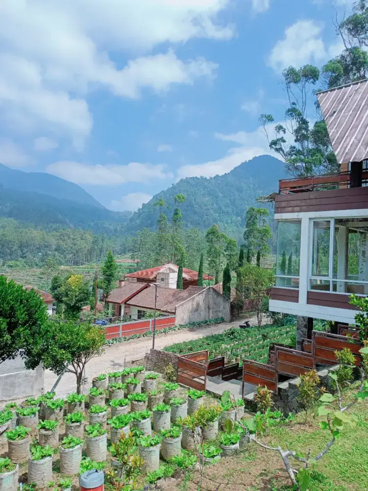 VILLA DENGAN VIBES ALAM CIWIDEY