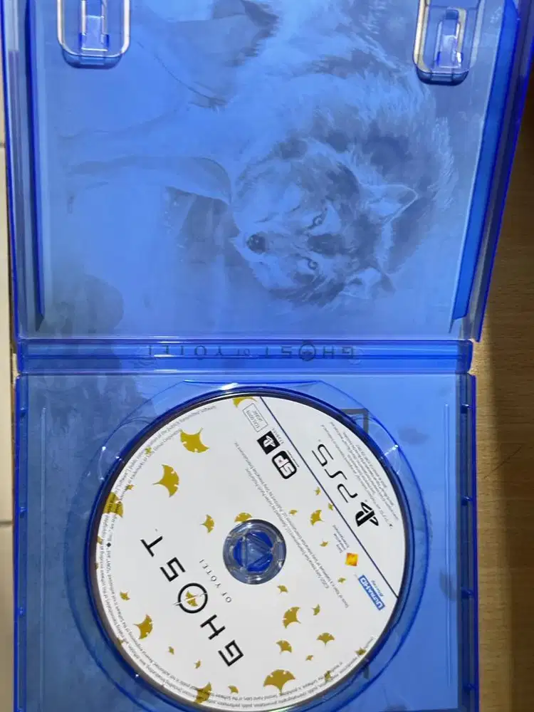 Dual Sense PS5 & GOY PS5