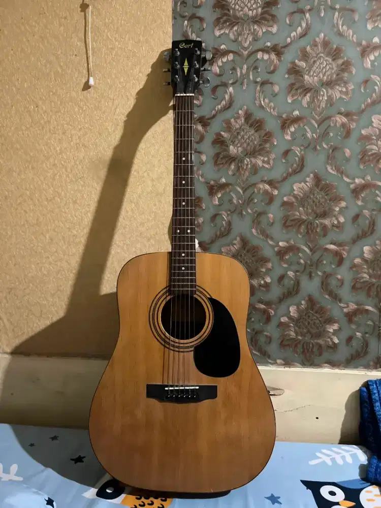 Gitar Cort AD810 E NS