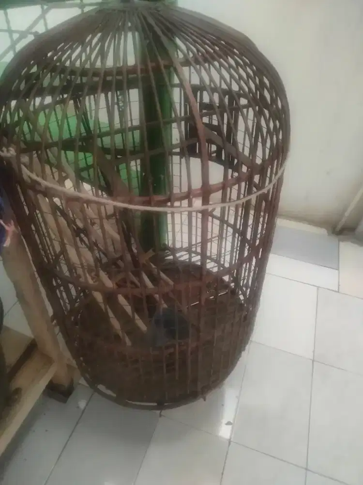 DiJual kandang burung