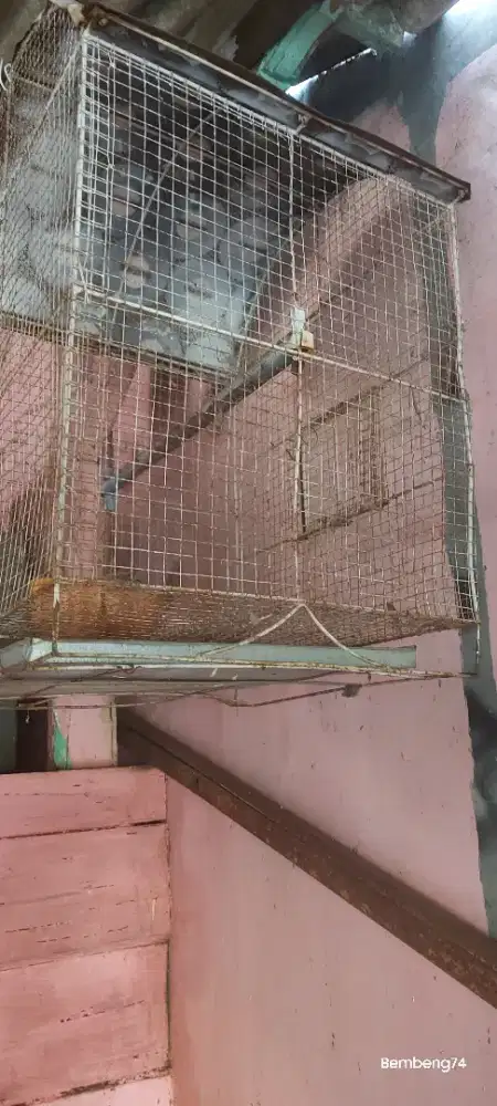 Kandang Burung Besi