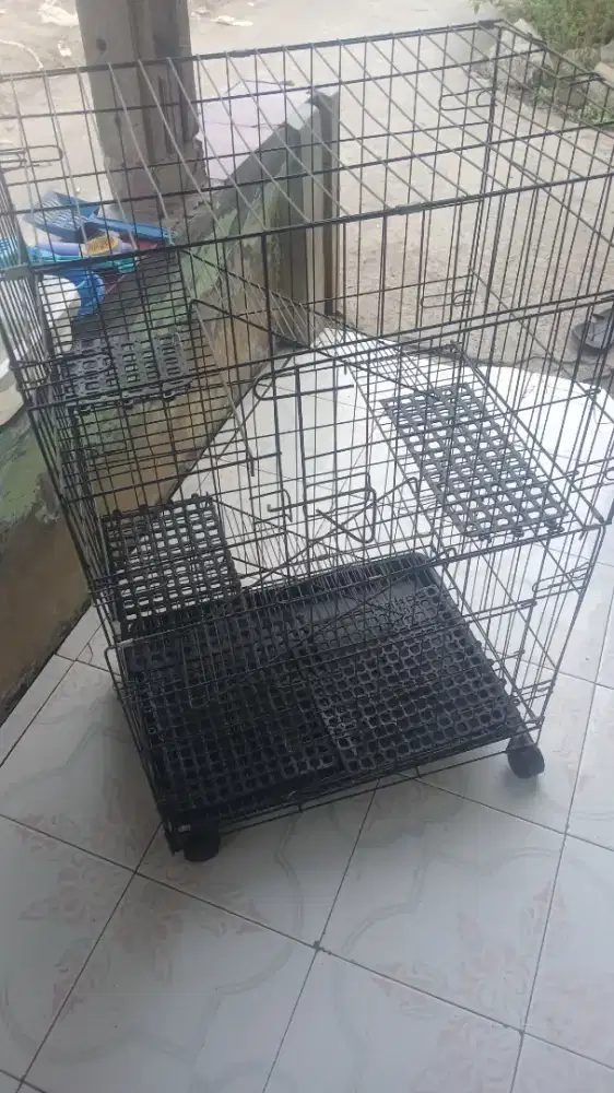 Kandang Kucing (bekas)