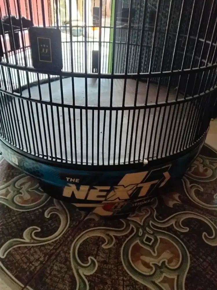 Kandungan murai merek jj