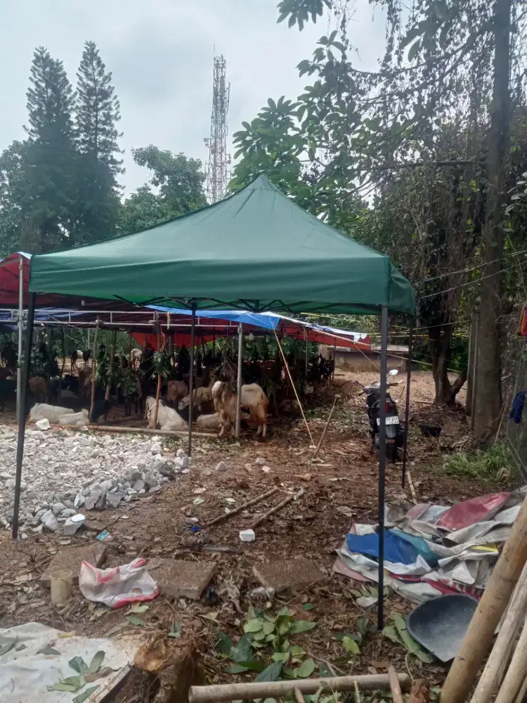 Tenda lipat .baru