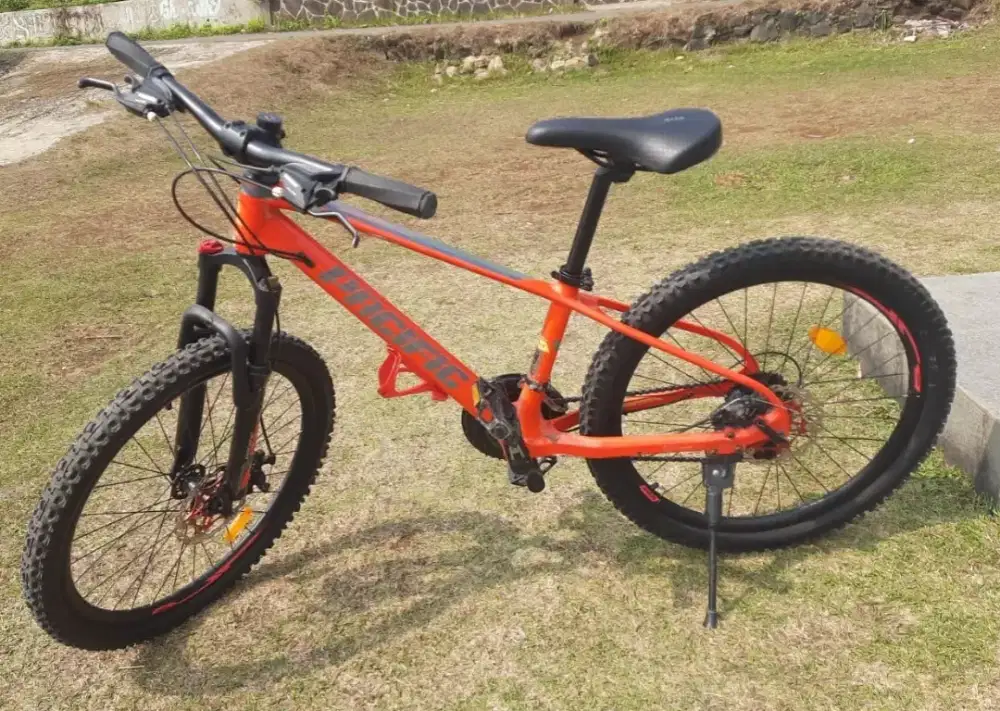 Jual Sepeda Pacific Invert Scout 24 inch
