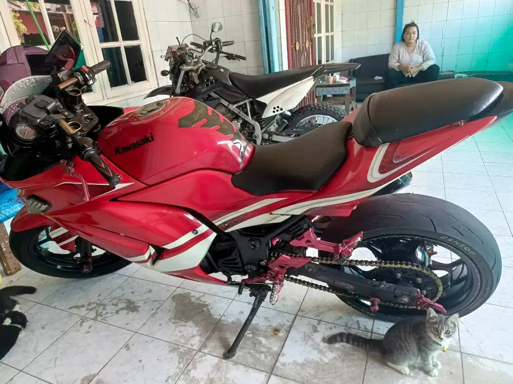Ninja 2010, 2 silinder warna merah