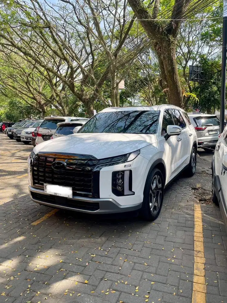 Hyundai Palisade 2.2 White on Red (warna langka)