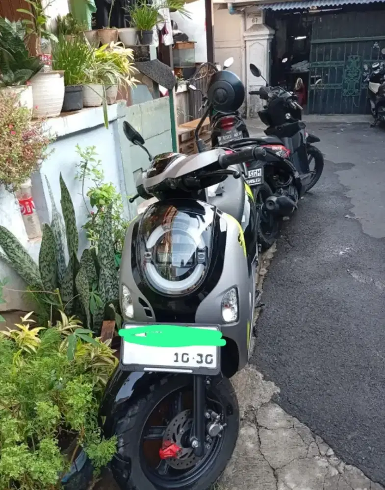 honda scoppy 2025