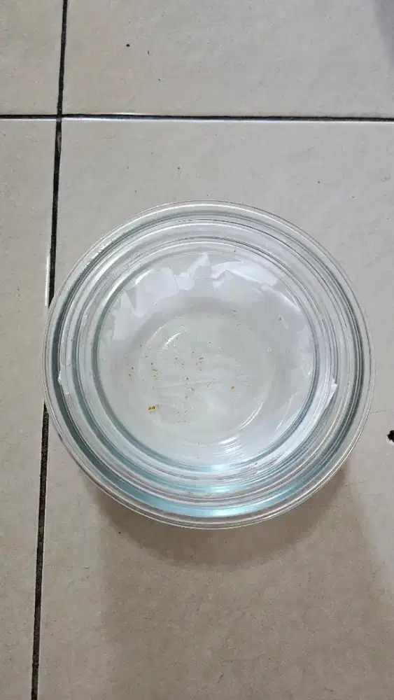 Wadah tempat makan beling tanpa tutup ada 3 ukuran