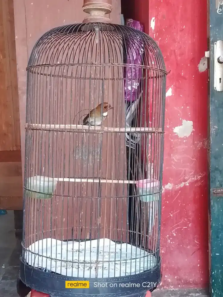 SKP rajin bunyi