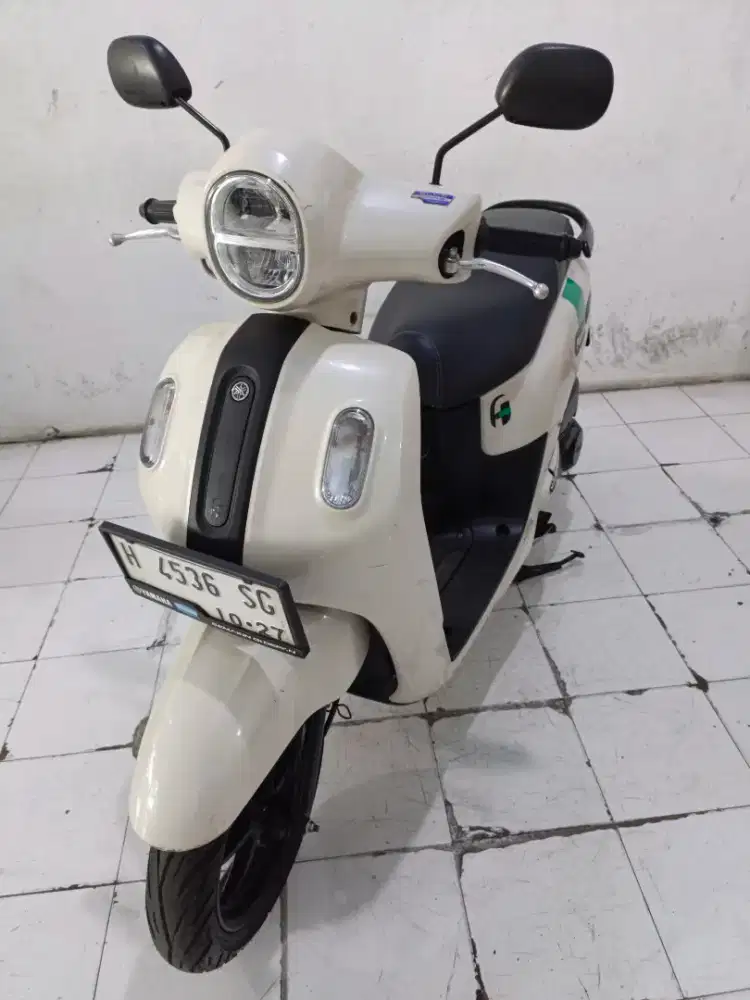fazzio thn 2022 putih