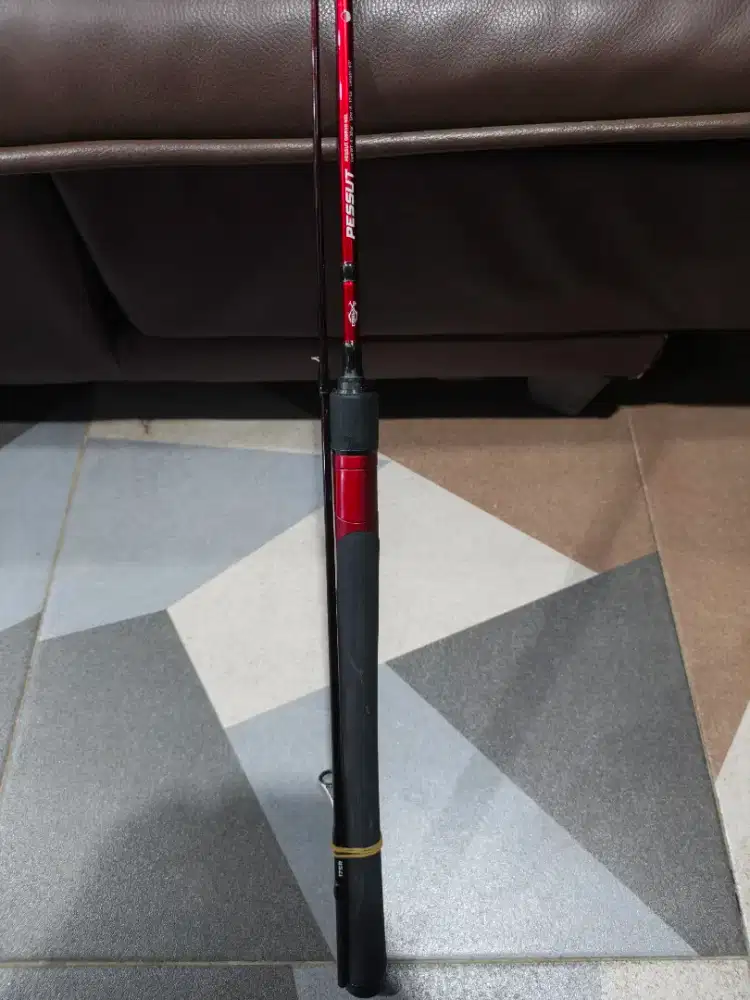 Joran Pessut 8-17 & Reel Ryobi Ranmi 3000 HG