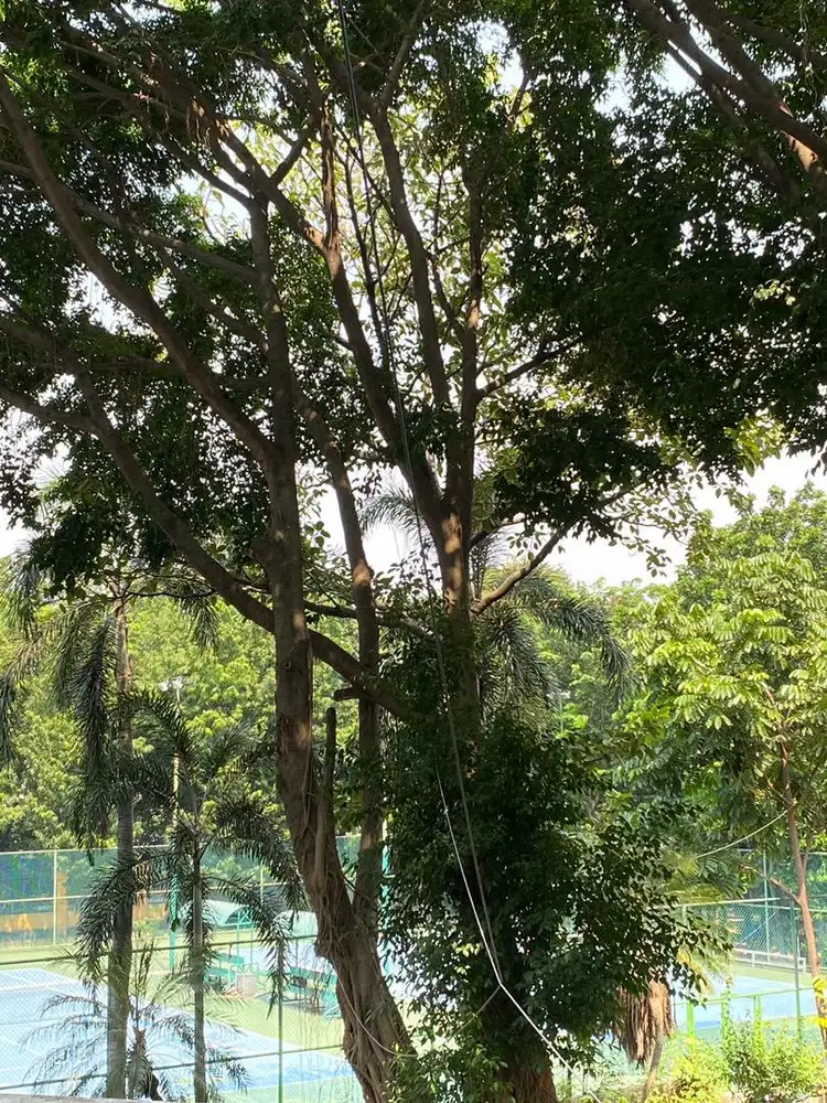 Lowongan Penjaga Toko