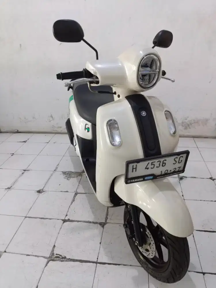 fazzio thn 2022 putih