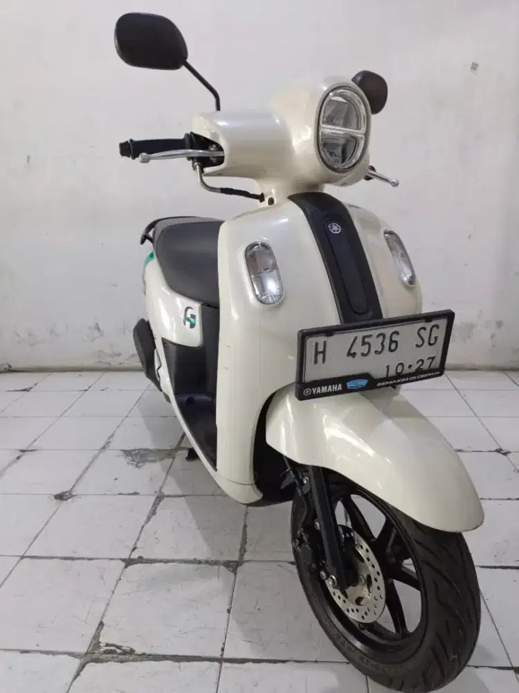 fazzio  putih 2022