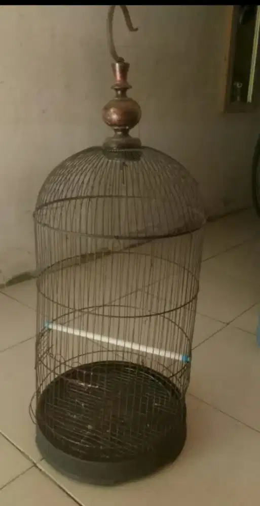 Kandan burung KAPSUL Besi