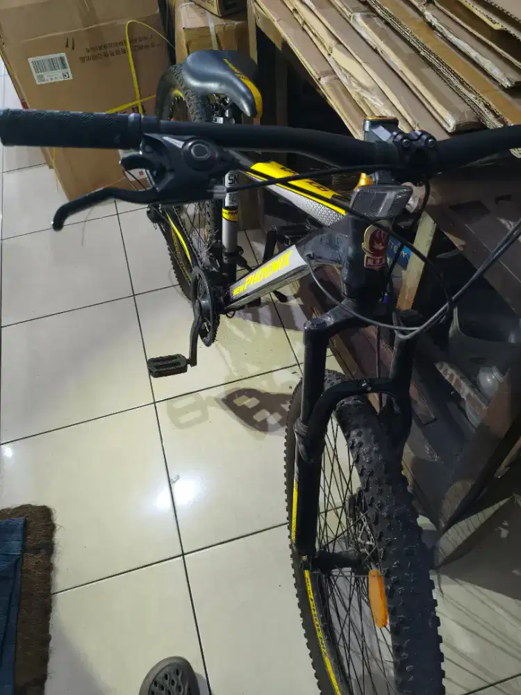 Sepeda gunung ban 24 inci