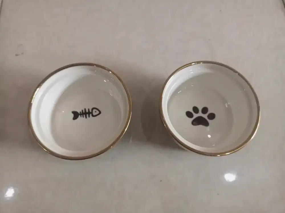 tempat makan kucing