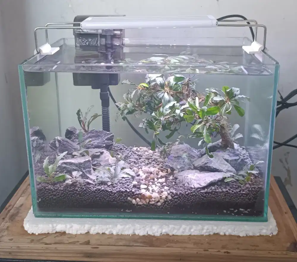 Aquascape full set