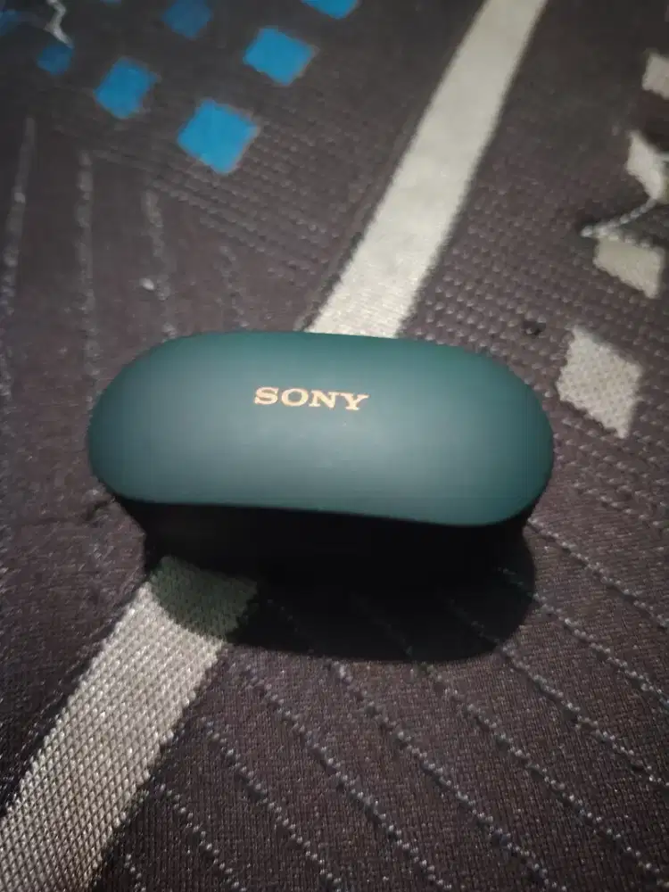 Sony WF-1000XM4