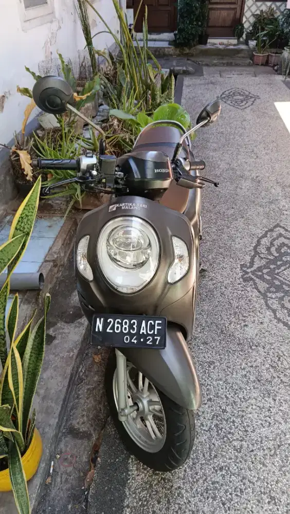 Scoopy Stylish 2022