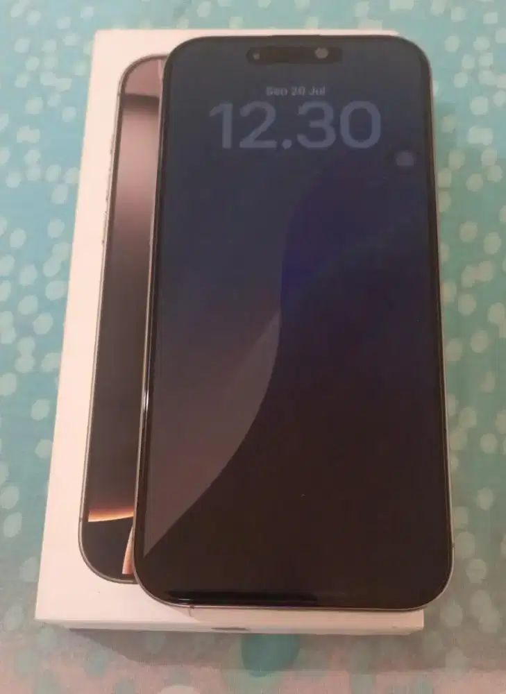 iPhone promax 256 dessert titanium