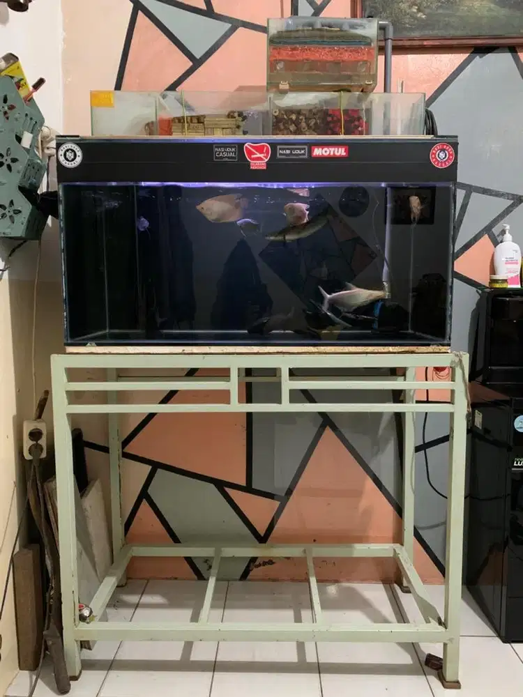 AKUARIUM UNTUK IKAN FULLSET