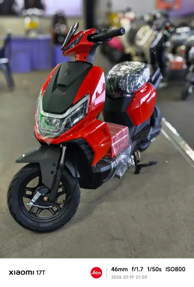 PACIFIC ZECKROM 500 REDY