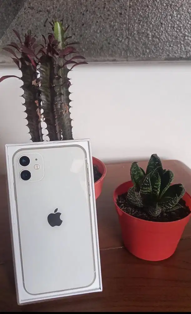 Iphone 11 64 inter