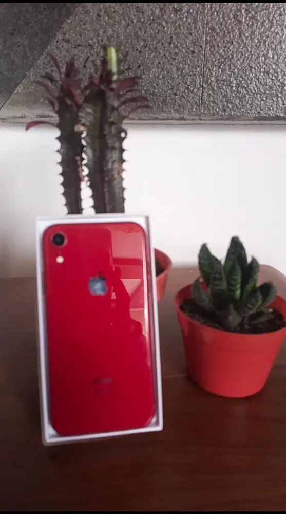 Iphone xr 64 inter