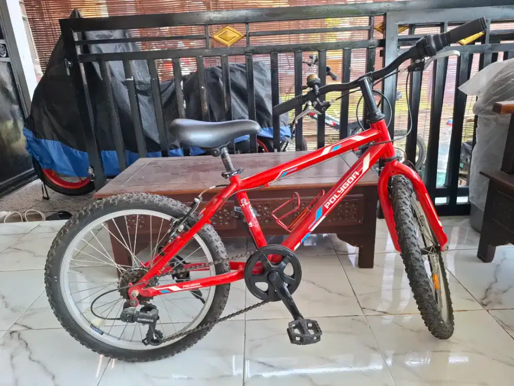 Polygon Monarch 20 kids