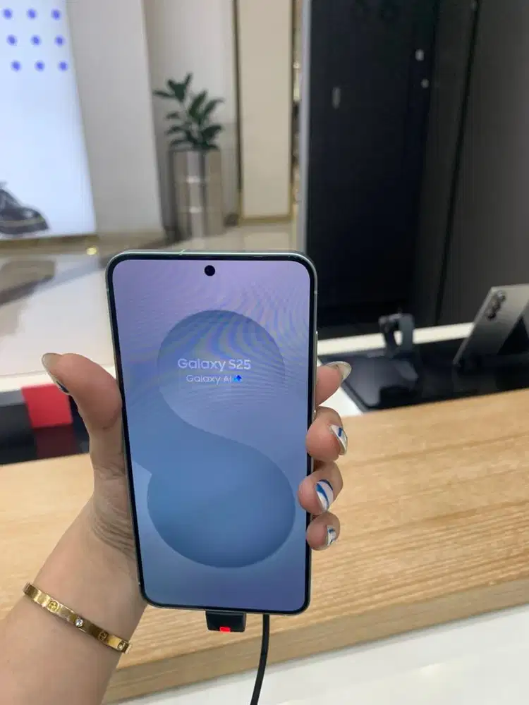 Samsung Galaxy S25