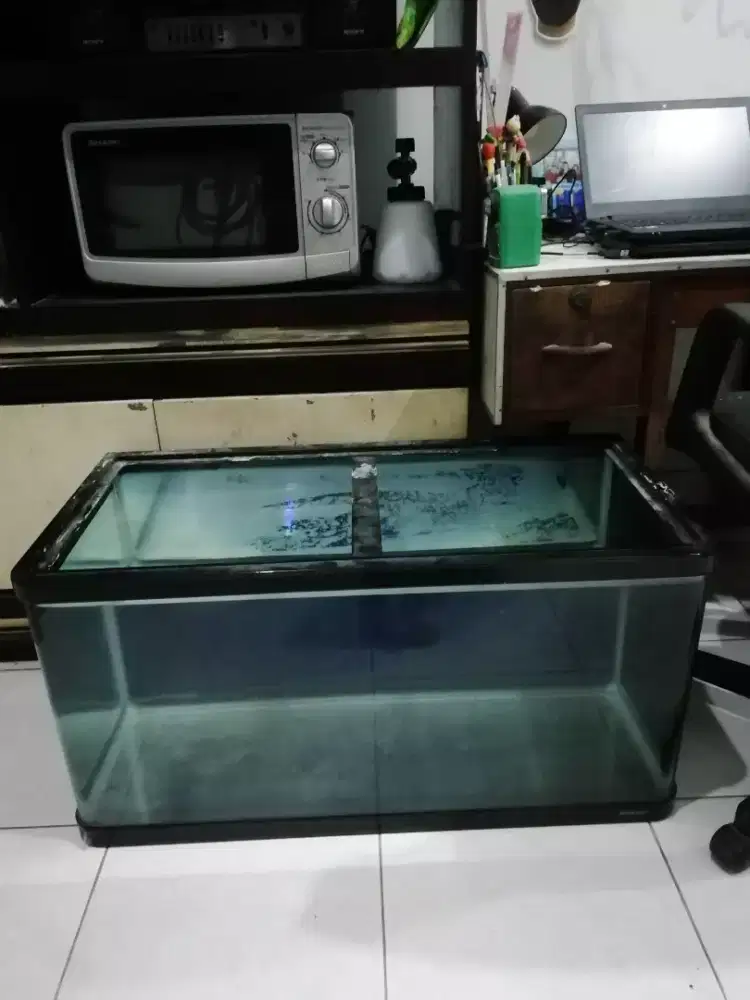 Aquarium bending nisso NBG