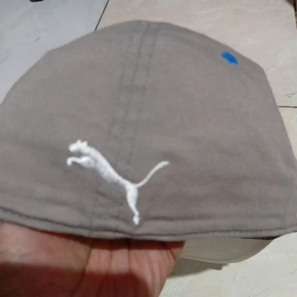 Topi Puma built up