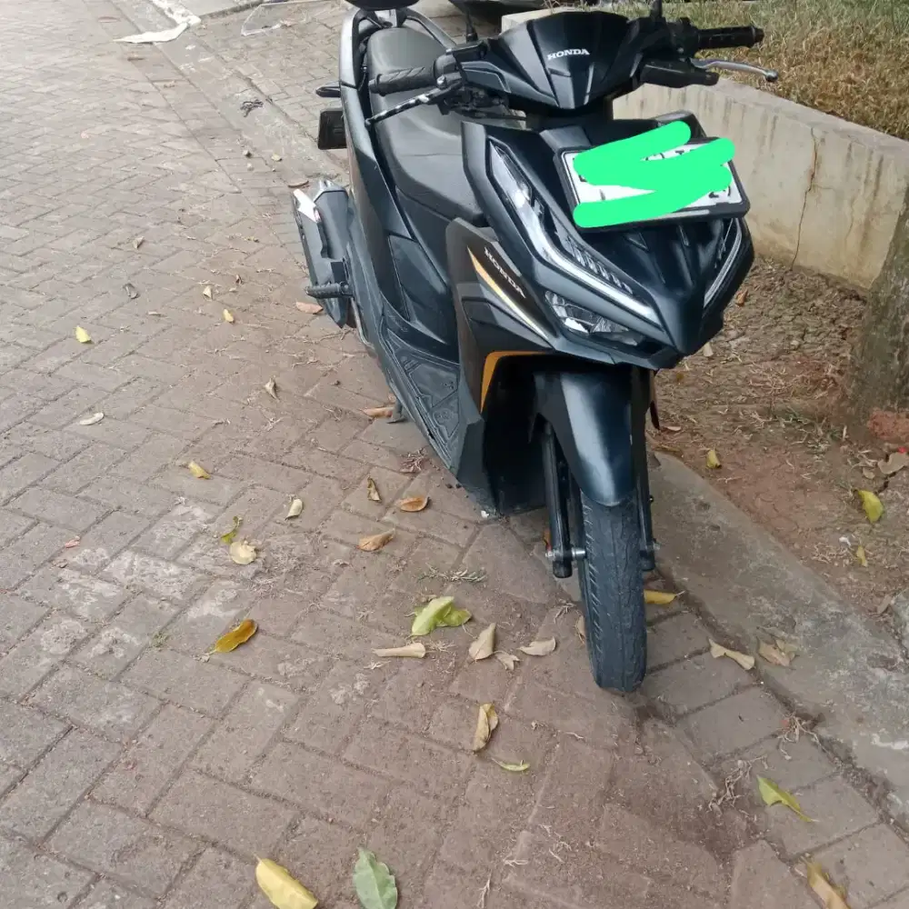 Vario 125 CBS ISS Tahun 2024 a.n sendiri