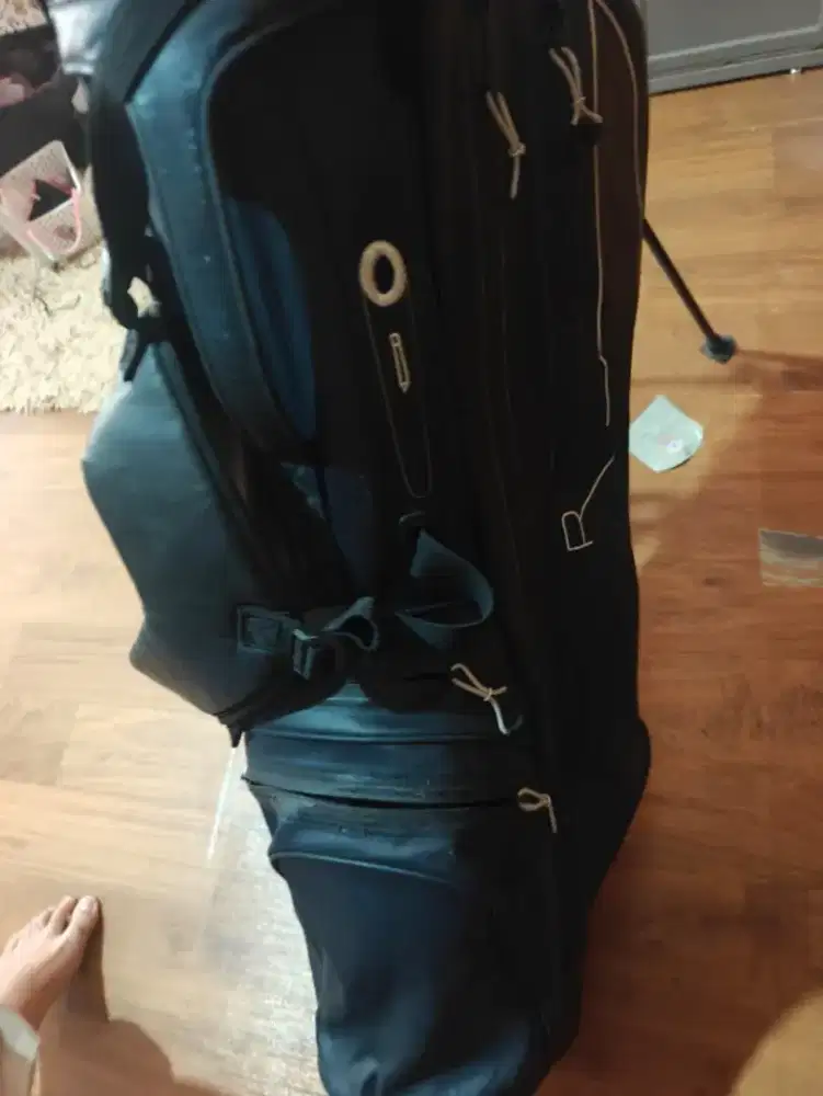 inesis stand bag