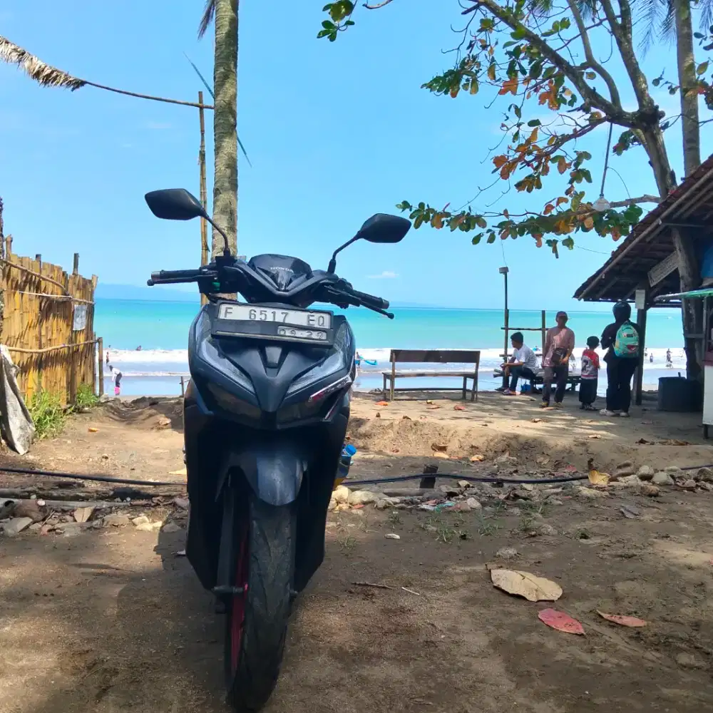 Vario new 150 2019
