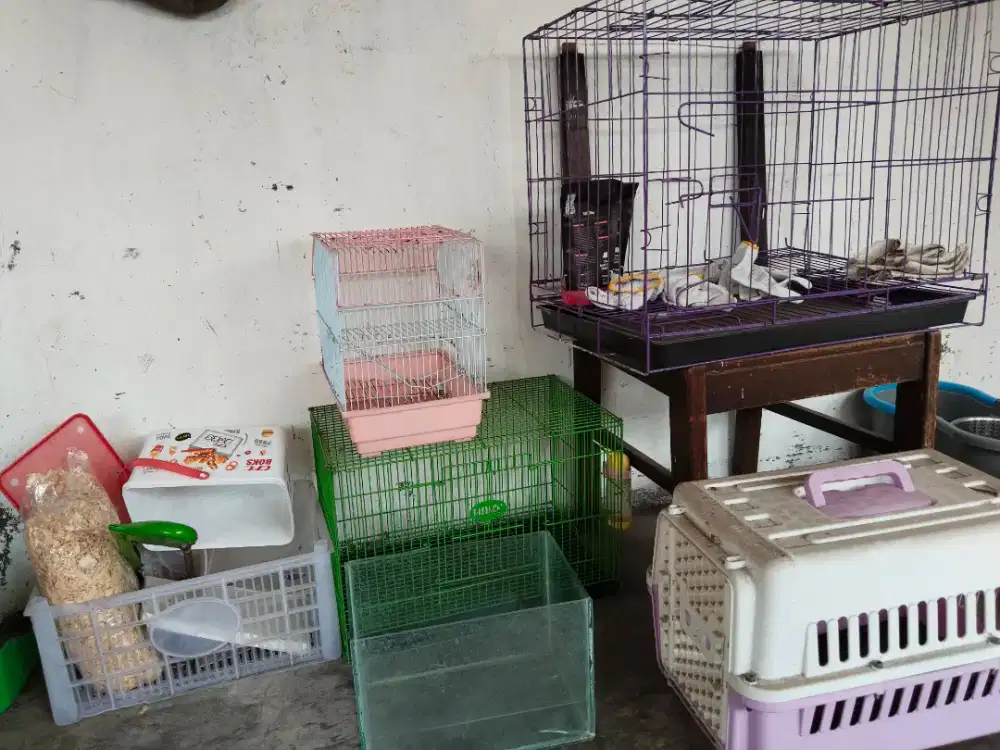 Kandang Kucing kelinci