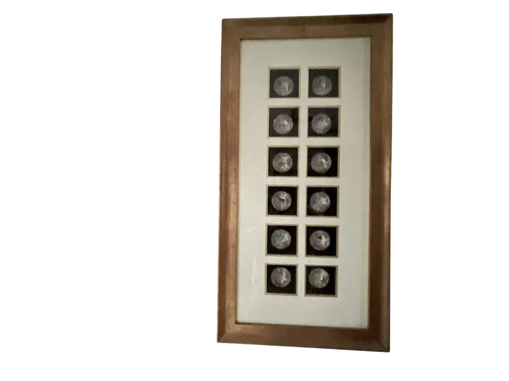 Hiasan Dinding 12 Zodiac China | Frame Gold Antique