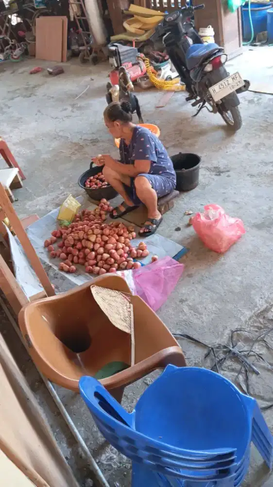 Jambu delima ,fresh dari pohon rawatan sendiri