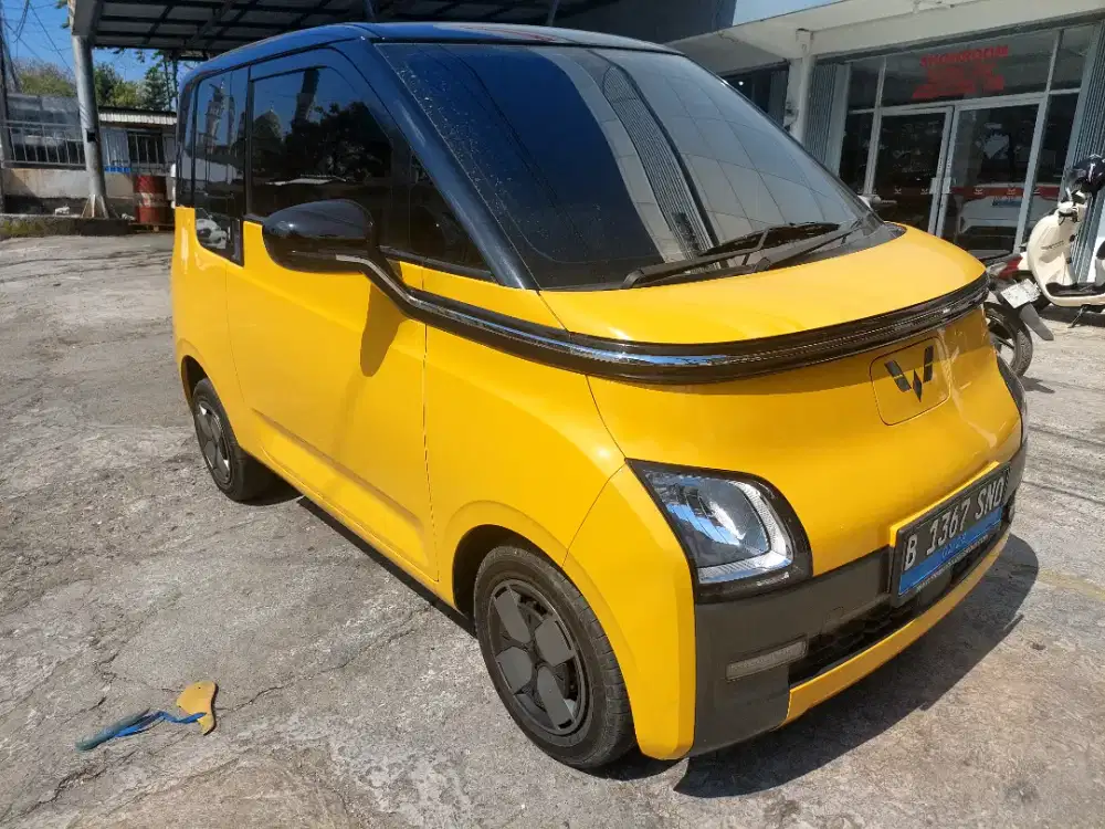 Air Ev Standard Range Tgn 1