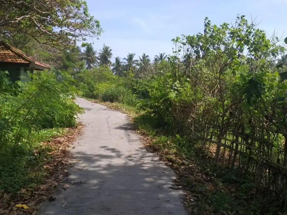 Dijual Tanah di Jl Melasti, Yeh Kuning, Jembrana, Bali