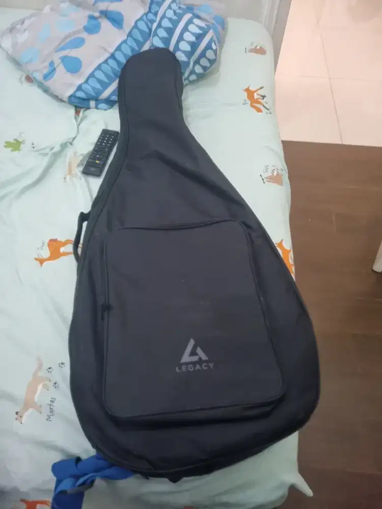 Jual gitar anderson accoustic bekas