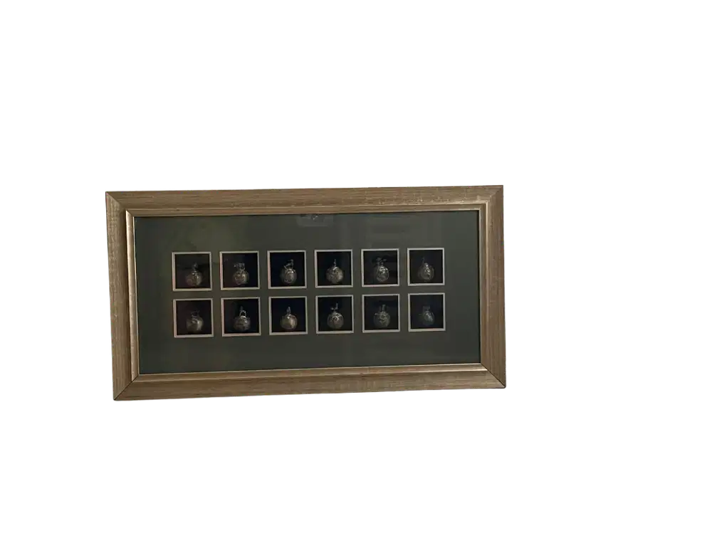 Hiasan Dinding 12 Ship Zodiac dalam Frame Gold | Wall Art Premium |