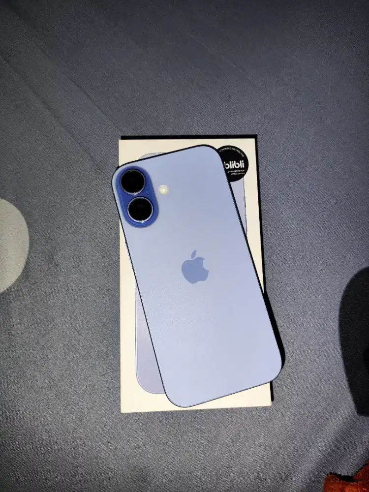 iPhone 17 256 Blue
