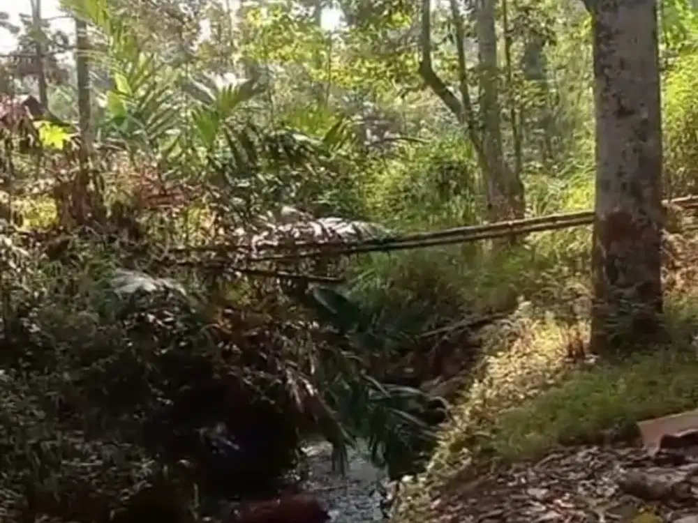 Dijual tanah kebun durian murah Wonosalam, Jombang