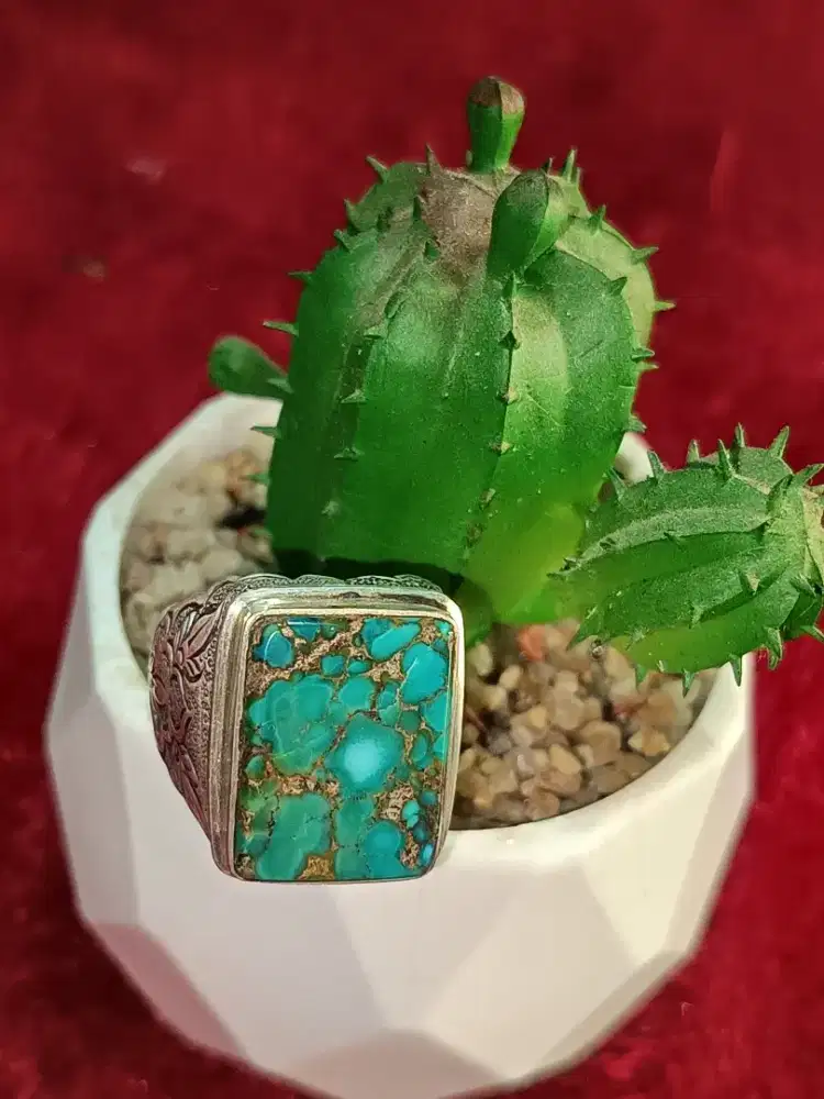 Pirus Persia Kotak