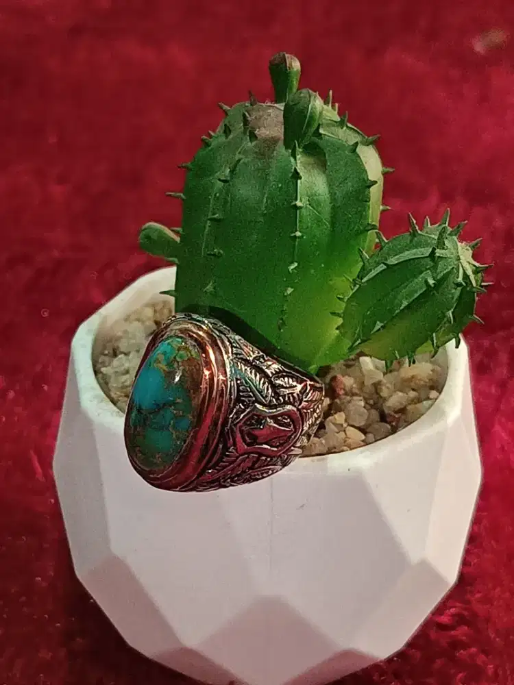 Pirus Persia Hijau Dondong