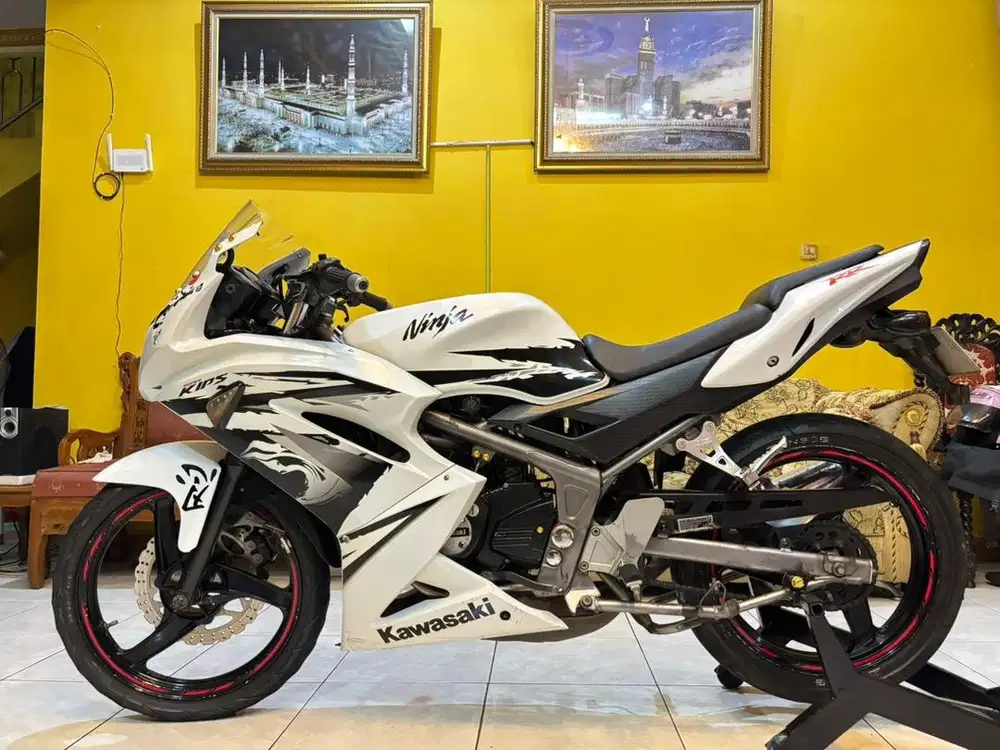 Kawasaki Ninja RR SE