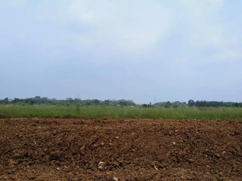 Dijual Cepat Tanah Kavling Premium Cipondoh Siap Bangun